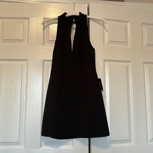 Express Little Black Dress